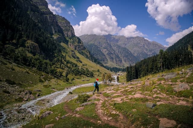 Variety of Experiences